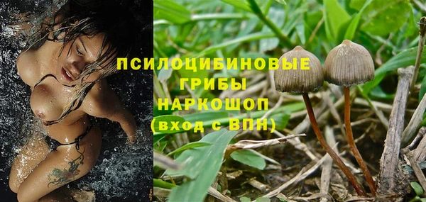 spice Алзамай