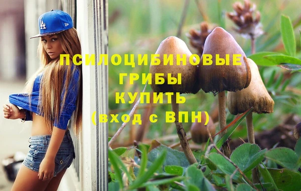 mix Рославль