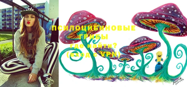 PSILOCYBIN Абдулино