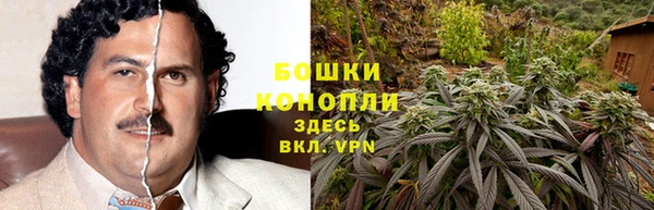 шишки Ростов