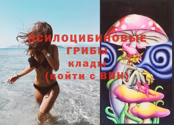 PSILOCYBIN Абдулино