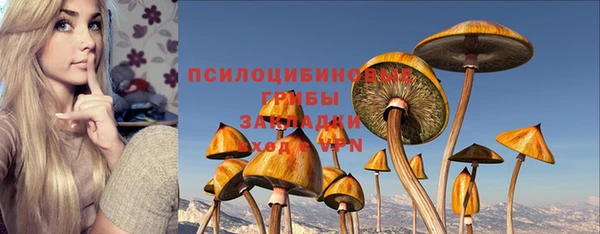 ALPHA-PVP Алексеевка